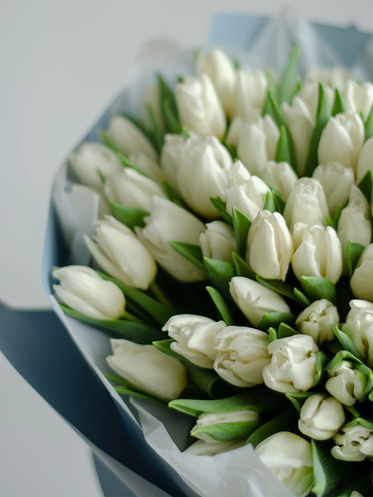 101 белый тюльпан